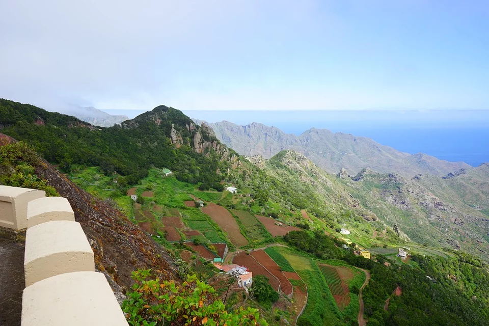 primavera en Tenerife