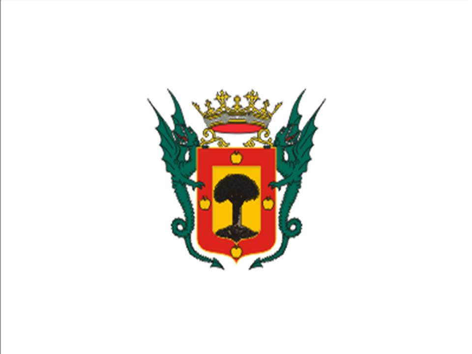 Bandera La Orotava