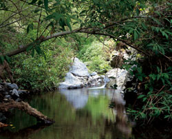 Reserva Natural Especial Barranco del Infierno