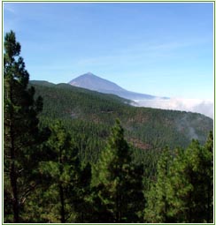 Parque Natural de Corona Forestal
