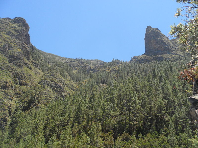 Parque Natural de Corona Forestal