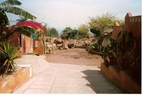 Oasis del Valle